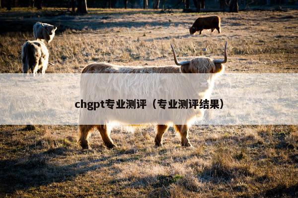 chgpt专业测评（专业测评结果）