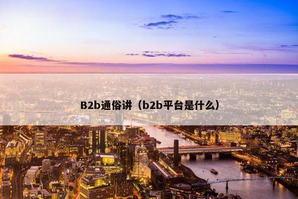 B2b通俗讲（b2b平台是什么）