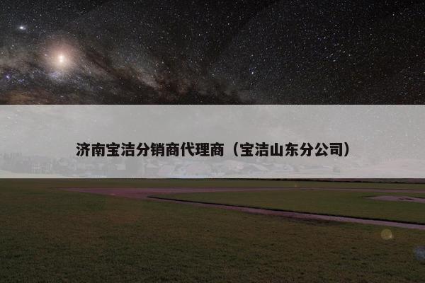 济南宝洁分销商代理商（宝洁山东分公司）