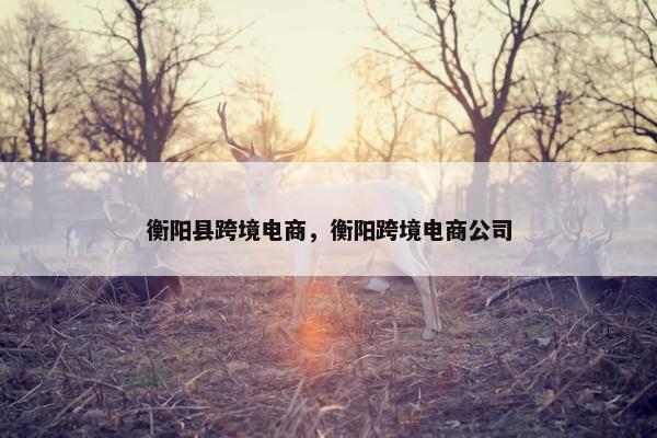 衡阳县跨境电商，衡阳跨境电商公司
