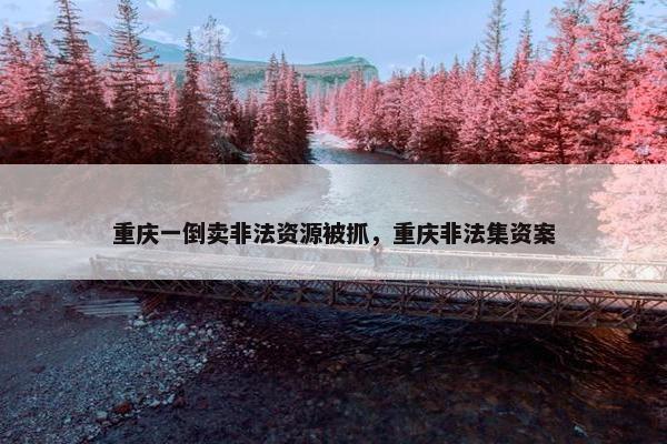 重庆一倒卖非法资源被抓，重庆非法集资案