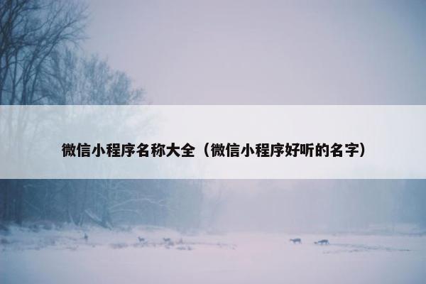 微信小程序名称大全（微信小程序好听的名字）