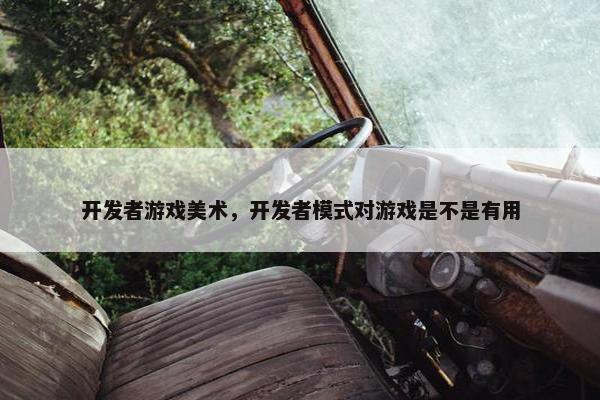 开发者游戏美术，开发者模式对游戏是不是有用