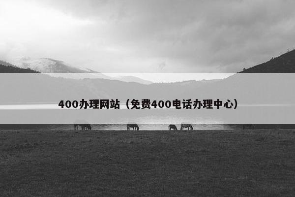400办理网站（免费400电话办理中心）
