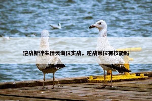 逆战新伴生精灵海拉实战，逆战莱拉有技能吗
