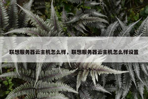 联想服务器云主机怎么样，联想服务器云主机怎么样设置