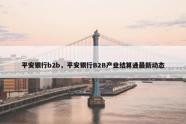 平安银行b2b，平安银行B2B产业结算通最新动态