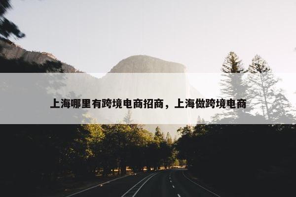上海哪里有跨境电商招商，上海做跨境电商