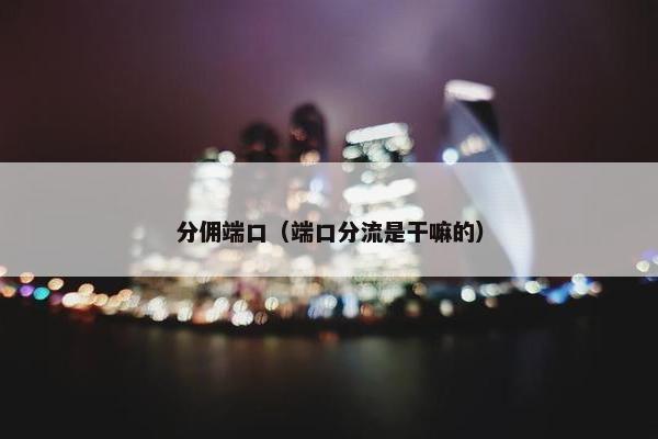 分佣端口（端口分流是干嘛的）