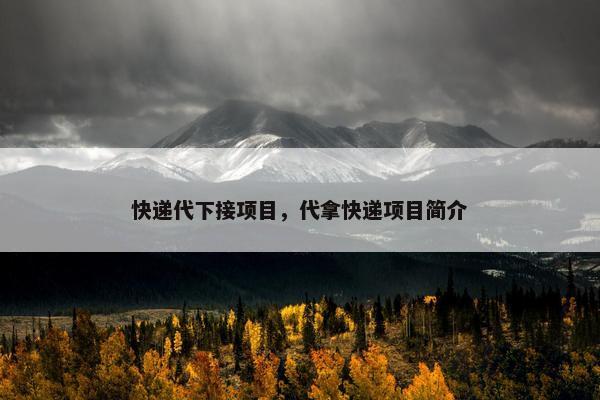 快递代下接项目，代拿快递项目简介