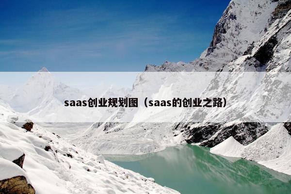 saas创业规划图（saas的创业之路）
