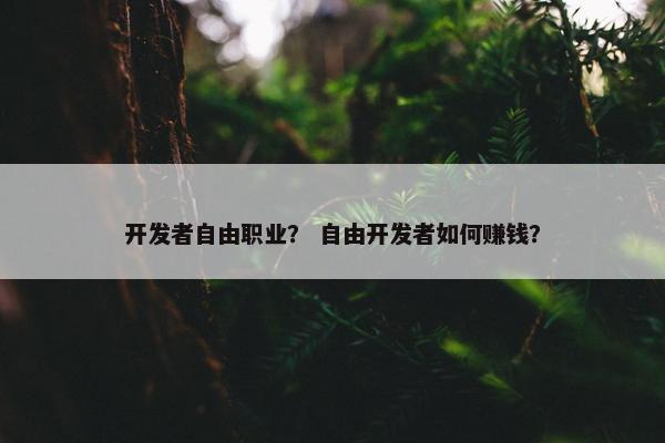 开发者自由职业？ 自由开发者如何赚钱？