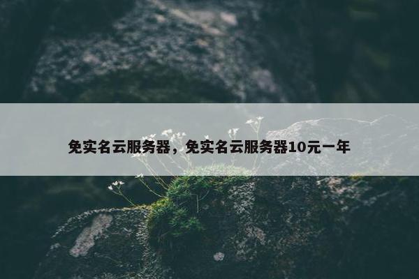 免实名云服务器，免实名云服务器10元一年