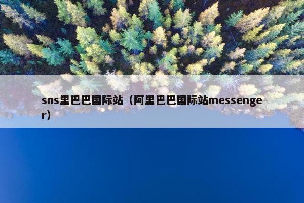 sns里巴巴国际站（阿里巴巴国际站messenger）