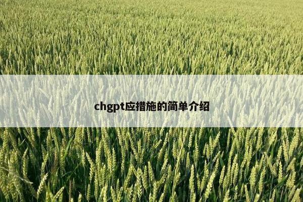 chgpt应措施的简单介绍