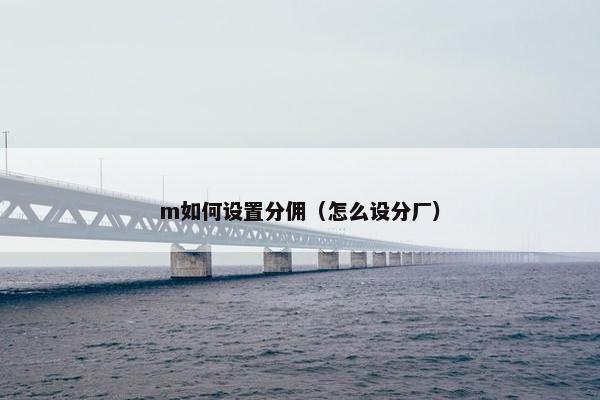 m如何设置分佣（怎么设分厂）