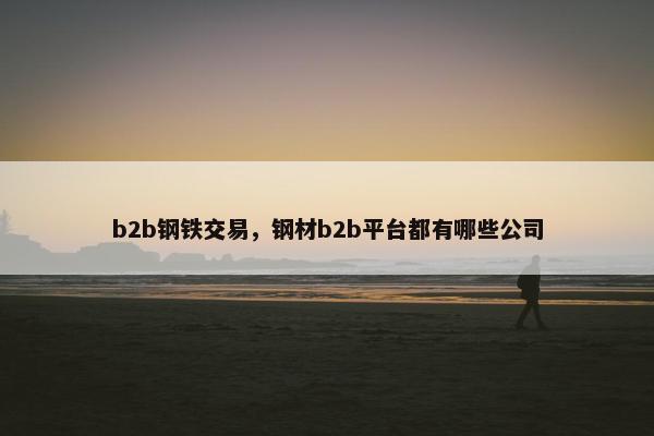 b2b钢铁交易，钢材b2b平台都有哪些公司
