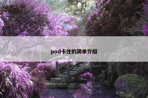 pod卡住的简单介绍