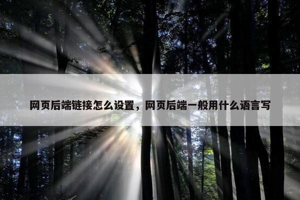 网页后端链接怎么设置，网页后端一般用什么语言写