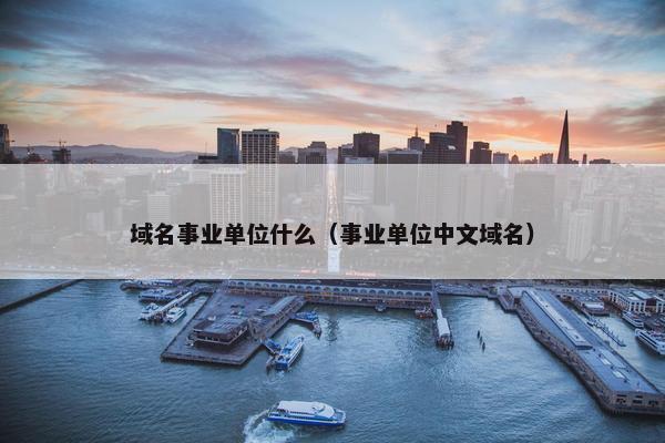 域名事业单位什么（事业单位中文域名）