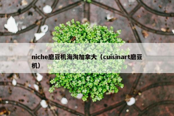 niche磨豆机海淘加拿大（cuisinart磨豆机）