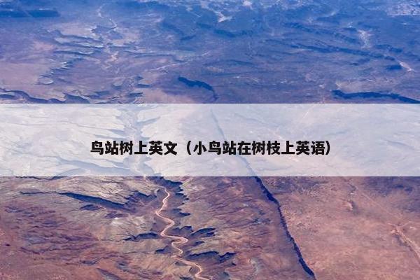 鸟站树上英文（小鸟站在树枝上英语）