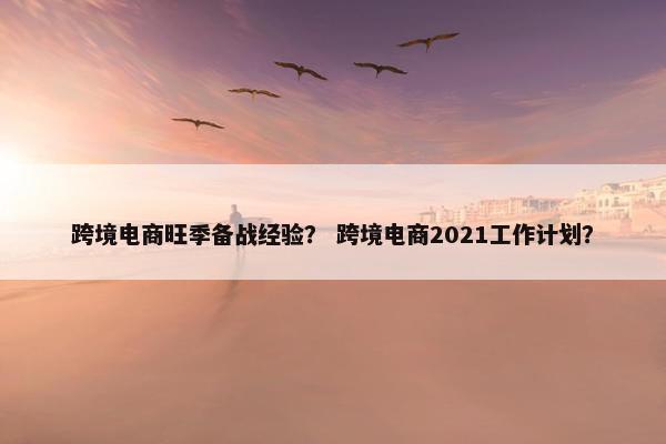 跨境电商旺季备战经验？ 跨境电商2021工作计划？