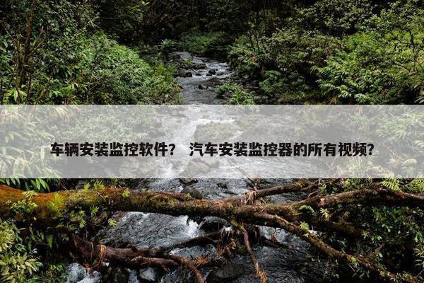车辆安装监控软件？ 汽车安装监控器的所有视频？