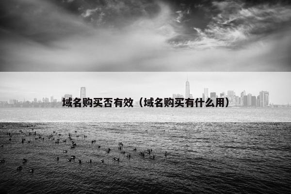 域名购买否有效（域名购买有什么用）