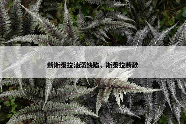 新斯泰拉油漆缺陷，斯泰拉新款