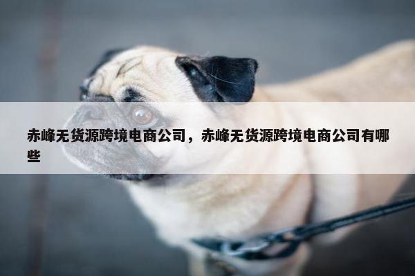 赤峰无货源跨境电商公司，赤峰无货源跨境电商公司有哪些