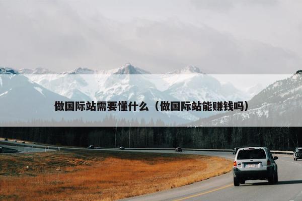 做国际站需要懂什么（做国际站能赚钱吗）