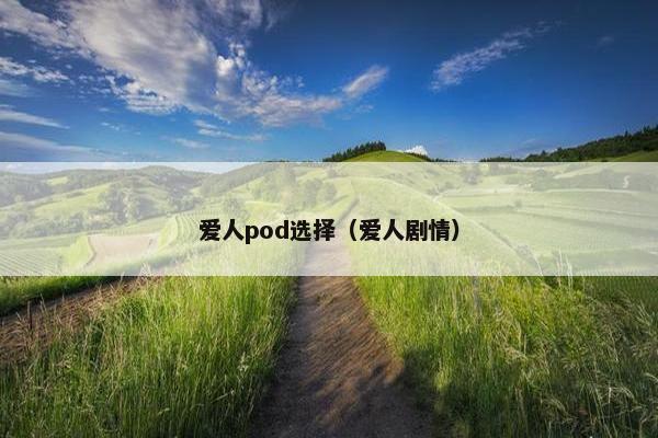 爱人pod选择（爱人剧情）
