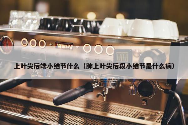 上叶尖后端小结节什么（肺上叶尖后段小结节是什么病）