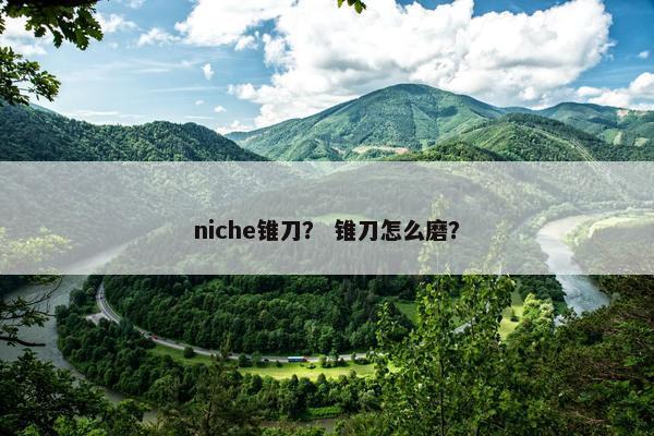 niche锥刀？ 锥刀怎么磨？