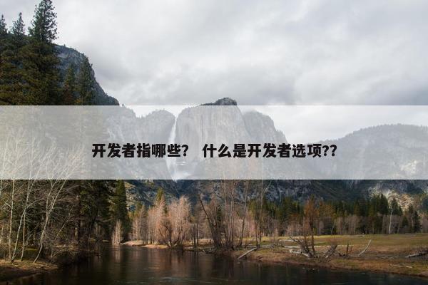 开发者指哪些？ 什么是开发者选项?？