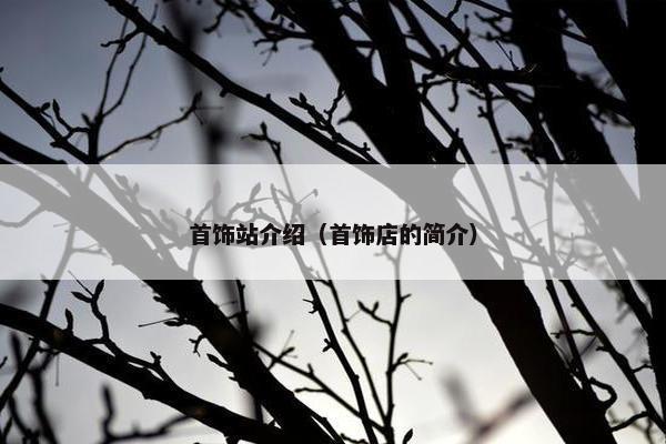 首饰站介绍（首饰店的简介）