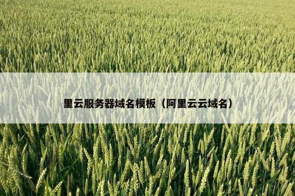 里云服务器域名模板（阿里云云域名）