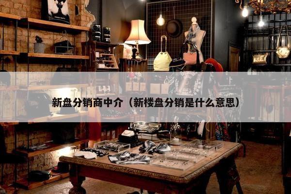 新盘分销商中介（新楼盘分销是什么意思）
