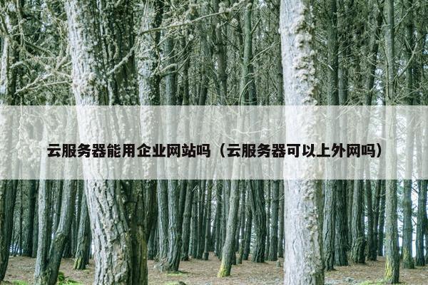 云服务器能用企业网站吗（云服务器可以上外网吗）