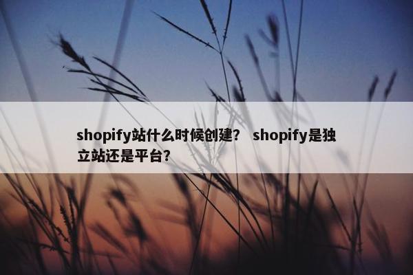 shopify站什么时候创建？ shopify是独立站还是平台？