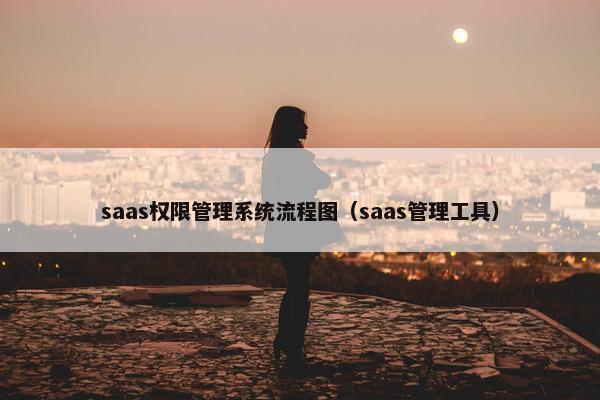 saas权限管理系统流程图（saas管理工具）