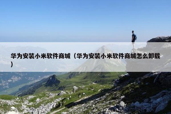 华为安装小米软件商城（华为安装小米软件商城怎么卸载）