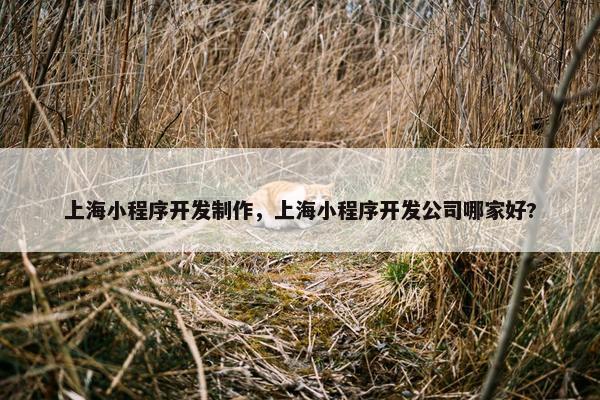 上海小程序开发制作，上海小程序开发公司哪家好?
