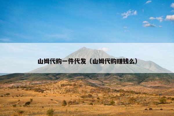 山姆代购一件代发（山姆代购赚钱么）