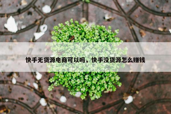 快手无货源电商可以吗，快手没货源怎么赚钱