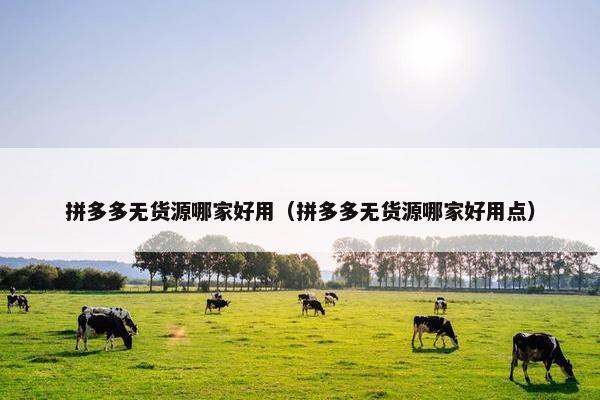 拼多多无货源哪家好用（拼多多无货源哪家好用点）