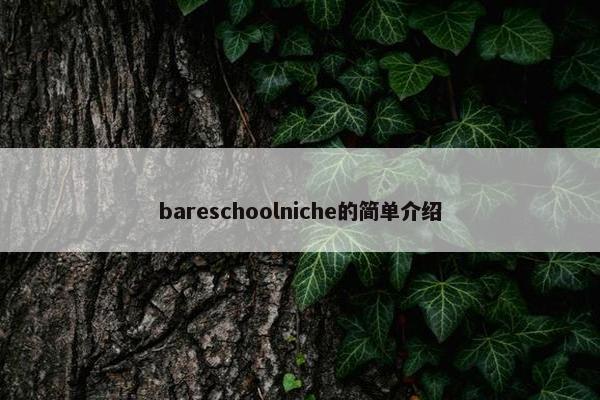 bareschoolniche的简单介绍