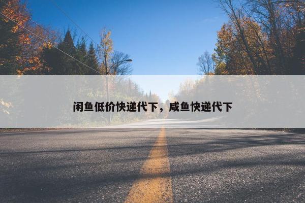 闲鱼低价快递代下，咸鱼快递代下