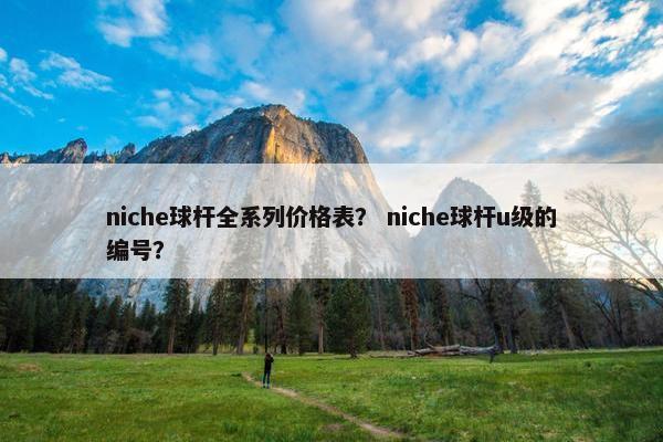 niche球杆全系列价格表？ niche球杆u级的编号？
